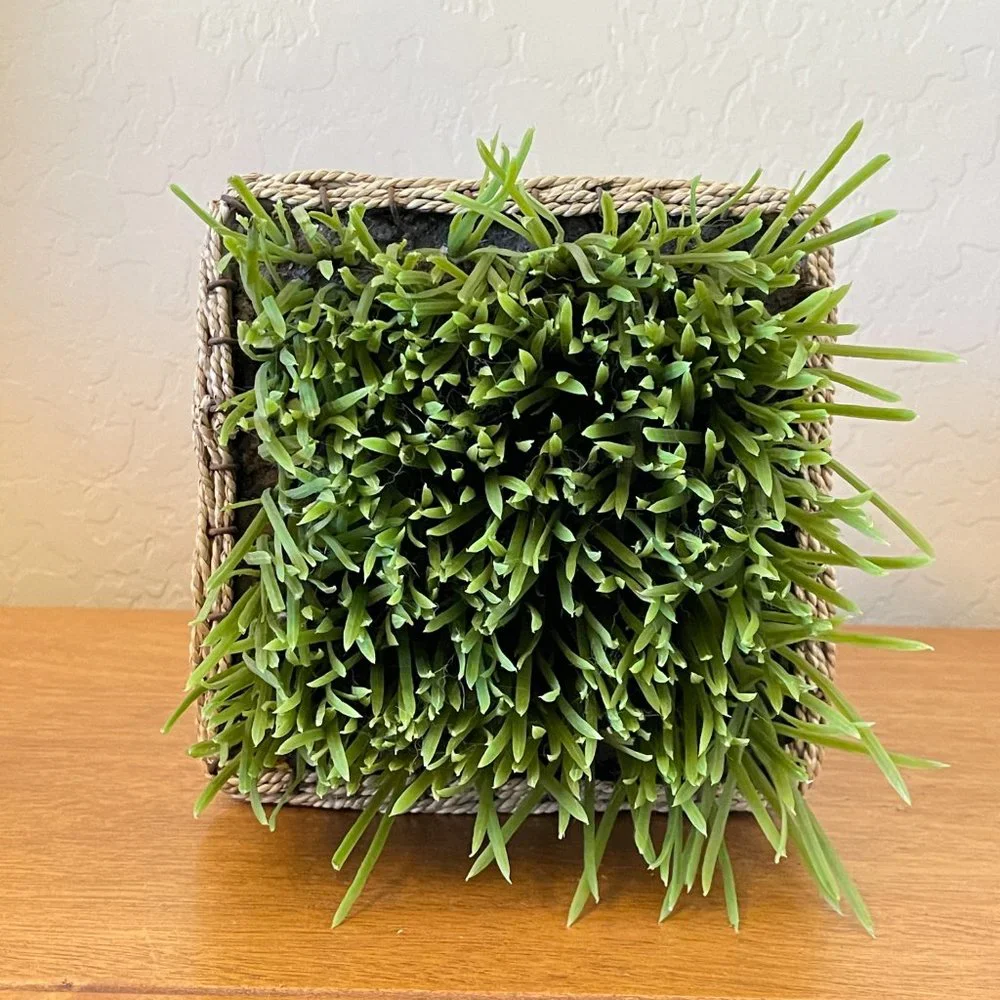 Faux Fake Plant Green Grass Basket Pot in Woven Square Table Top Decor